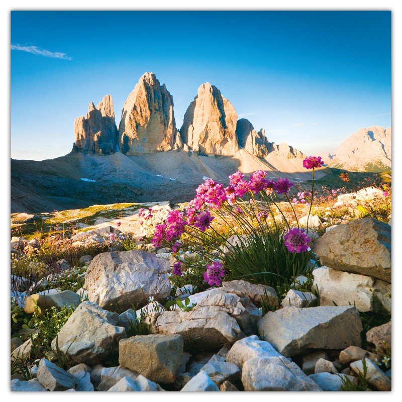 Alps, képes lemeznaptár 2026