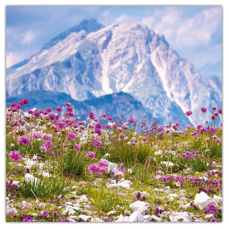 Alps, képes lemeznaptár 2026