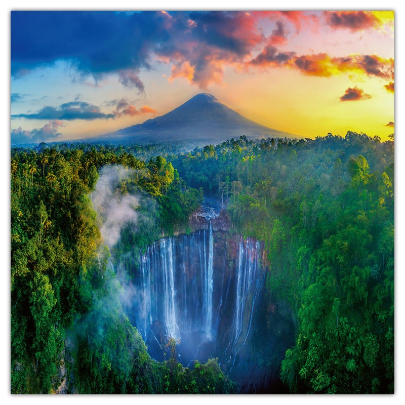 Amazing Rainforest, képes lemeznaptár 2026